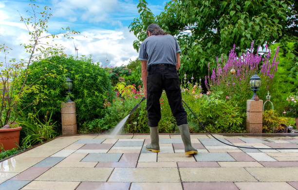 Best Driveway Pressure Washing  in Port Vue, PA